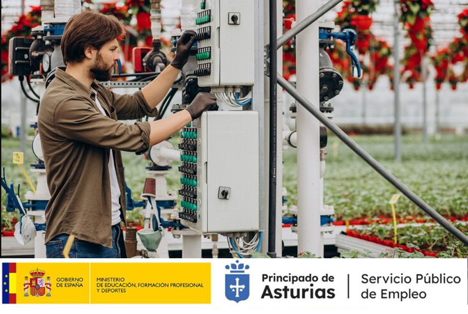 (ELEE0108) Operaciones auxiliares de montaje de redes eléctricas