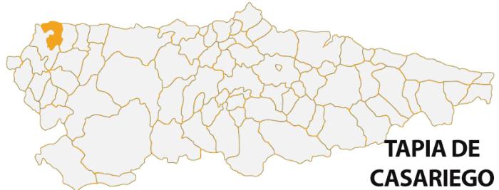 TAPIA DE CASARIEGO